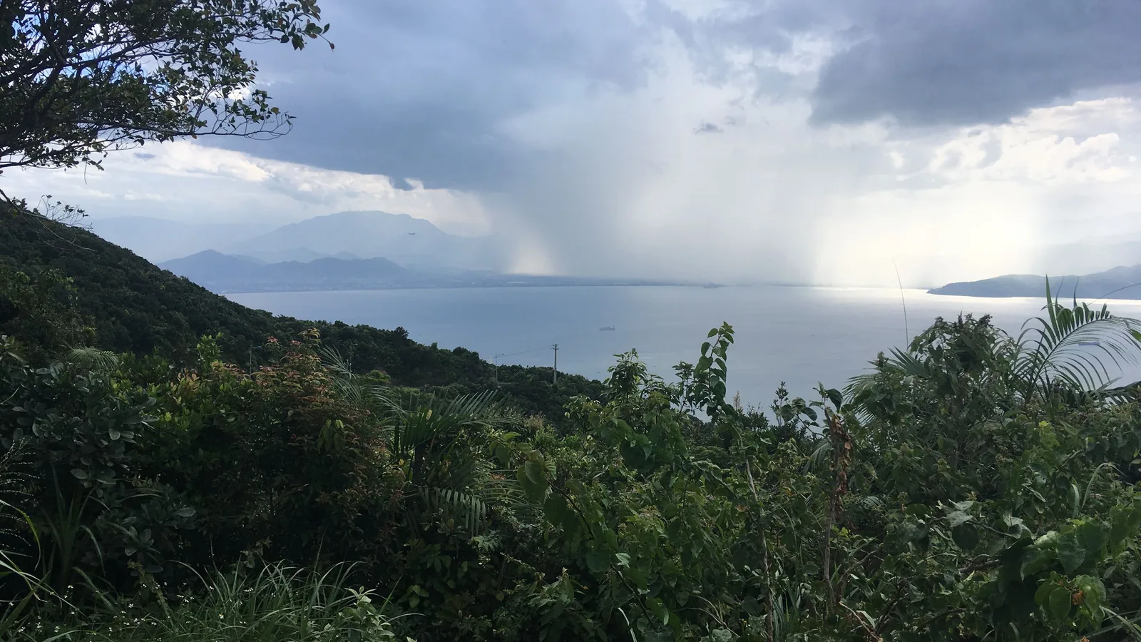 A rain squall crossing Da Nang Bay, seen through forest on the Son Tra Peninsula