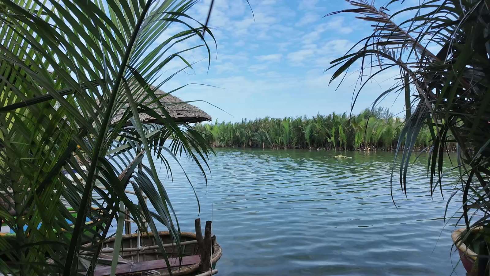 A quiet stretch of the Bay Mau coconut forest waterway near Hoi An, away from the music