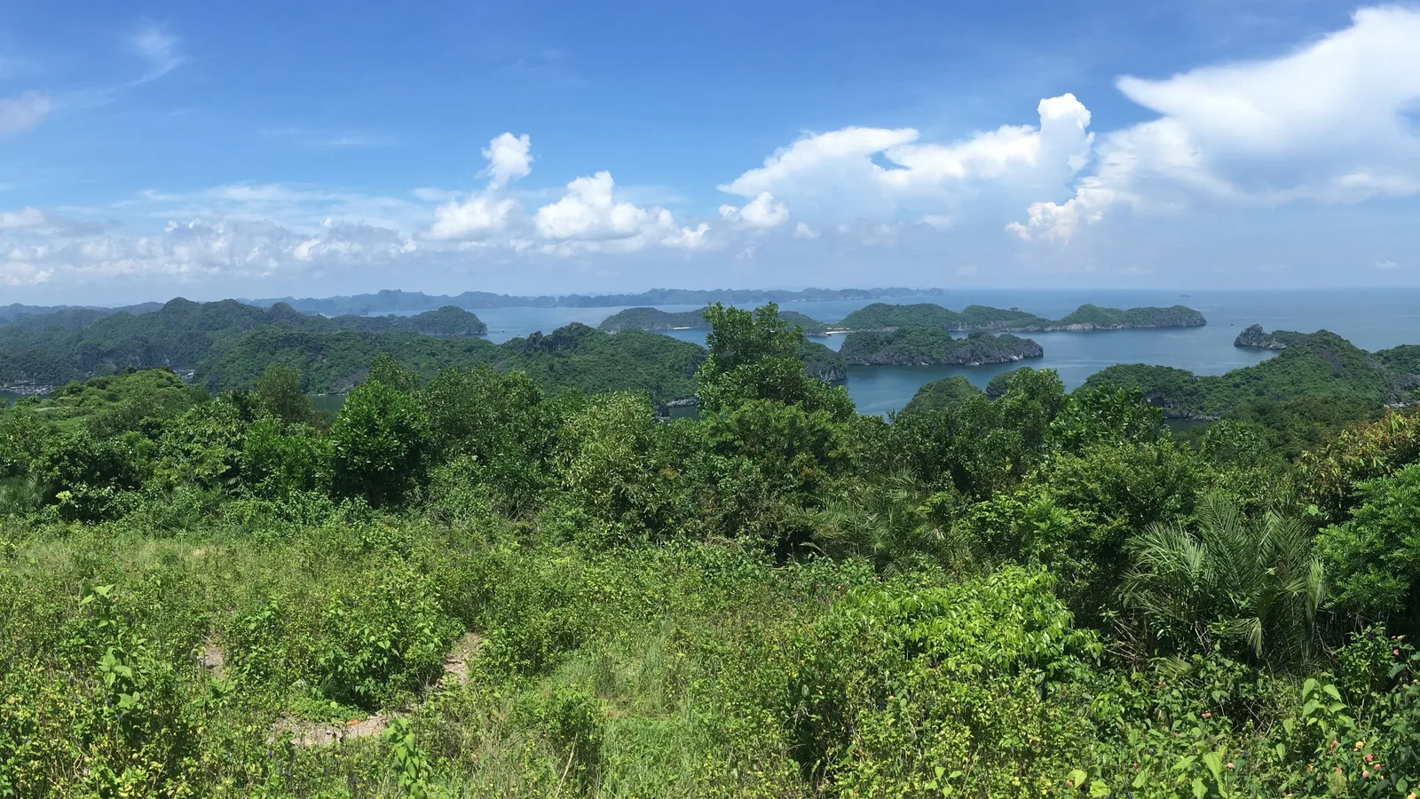 Wooded limestone islands in Lan Ha Bay seen from a hilltop on Cat Ba Island